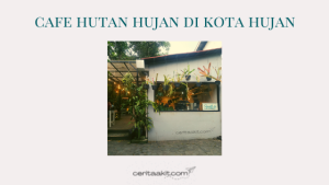 cafe hutan hujan di bogor - ceritaakit cafe hutan hujan di bogor - ceritaakit